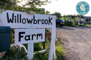 willowbrook-farm