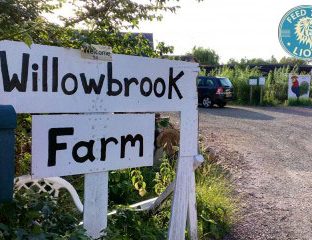 willowbrook-farm