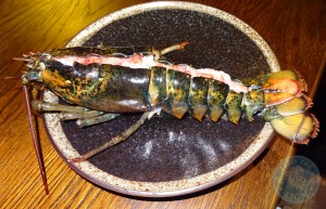 uncooked lobster SENNIN Japanese-Teppanyaki & Sushi restaurant islington