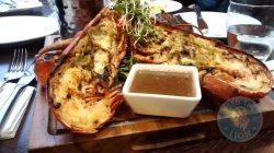 lobster Caffe Concerto Kensington halal London Restaurant cafe