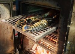 josper grill Skewd Kitchen Turkish Halal Cockfosters