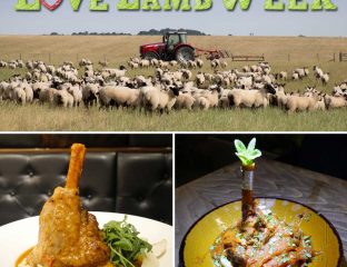 love lamb week tarshish the banc