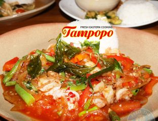 Tempopo Pan Asian Halal Manchester Restaurant Curry