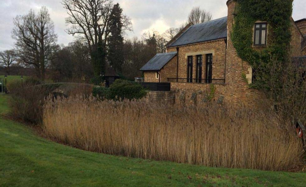 the-barn-dorchester4