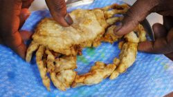 soft shell crab Kahani London Indian Restaurant Halal Curry
