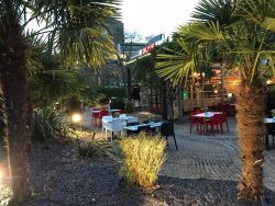 olive-tree-milton-keynes