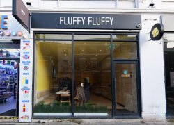 Fluffy Fluffy Liverpool London UK Halal Japanese Dessert cake tiramisu