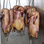 Bonda by Duck & Noodle Chinese Malaysian Malay Halal London Paddington Restaurant