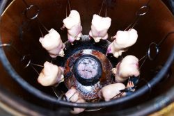 Bonda by Duck & Noodle Chinese Malaysian Malay Halal London Paddington Restaurant