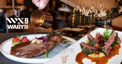 Ribeye Steakhouse Birmingham Brindley Place Halal steak fine fining restaurant