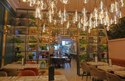 Ribeye Brindley Place Halal fine dining wagyu steak restaurant Birmingham