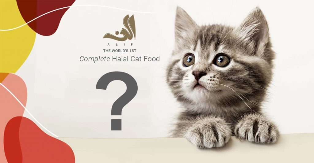 Alif Pet Foods Halal Cat Product