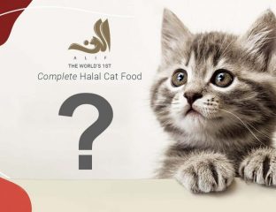 Alif Pet Foods Halal Cat Product