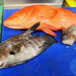 Bronek's International Fish Cuisine - Halal restaurant Northfields, London