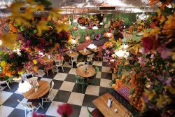 Halal Lebanese restaurant in London at Comptoir Libanais in Ealing