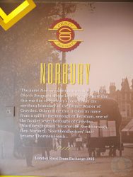 Crazy Burgerz Hala burger restaurant London Norbury