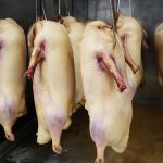 Duck & Noodle London Bayswater Halal restaurant