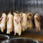 Duck & Noodle London Bayswater Halal restaurant