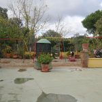 Los Almendros Halal restaurant Cordoba Spain Medina Al Zahrah