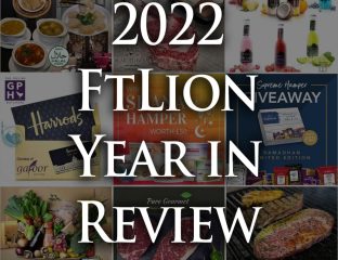 2022 FtLion Year in Review