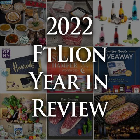 2022 FtLion Year in Review