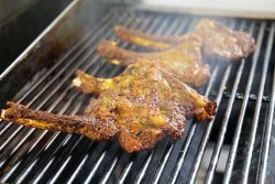 Golpo Cambridge Bangladesh Modern Indian Fine Dining Halal street food dry bar