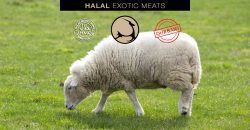 Halal Exotic Meats Qurbani Lamb Order Online Eid Adha