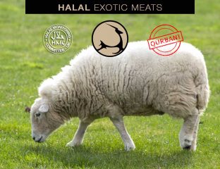 Halal Exotic Meats Qurbani Lamb Order Online Eid Adha
