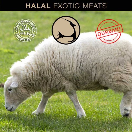 Halal Exotic Meats Qurbani Lamb Order Online Eid Adha