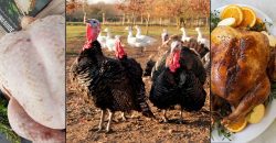 Halal Turkeys Organic Free-Range Christmas London