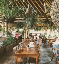 Shelter Cafe Seminyak Bali Indonesia Vegan Vegetarian