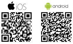 Frankster's brings burgers & peri peri to Sheffield