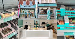 Kokoro Halal Japanese Korean Tooting London Chichester