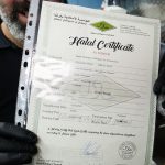 Last Stop Kebab Bus fast food restaurant Halal Turkish Edmonton