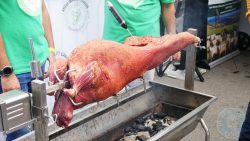 London Halal Food Festival 2021 - London Stadium