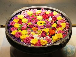 Masalchi by Atul Kochhar Indian Halal Wembley Park, London