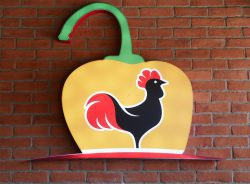 Manzano's peri peri Halal chicken restaurant Wales Bristol Reading