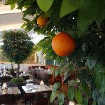 The Orangery by Sapna Halal restaurant in Stockley Park