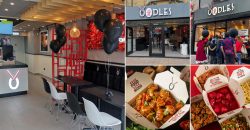 Oodles Chinese Halal Restaurant Oxford London Southall