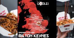 Oodles Chinese Milton Keynes Halal Restaurant