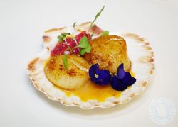 Tarragon Bistro Mediterranean Halal Restaurant Steakhouse Wagyu Birmingham Hall Green