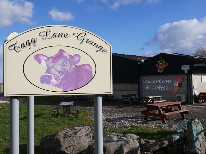 Derbyshire's Tagg Lane Dairy gelato ice cream sets benchmark Feed the