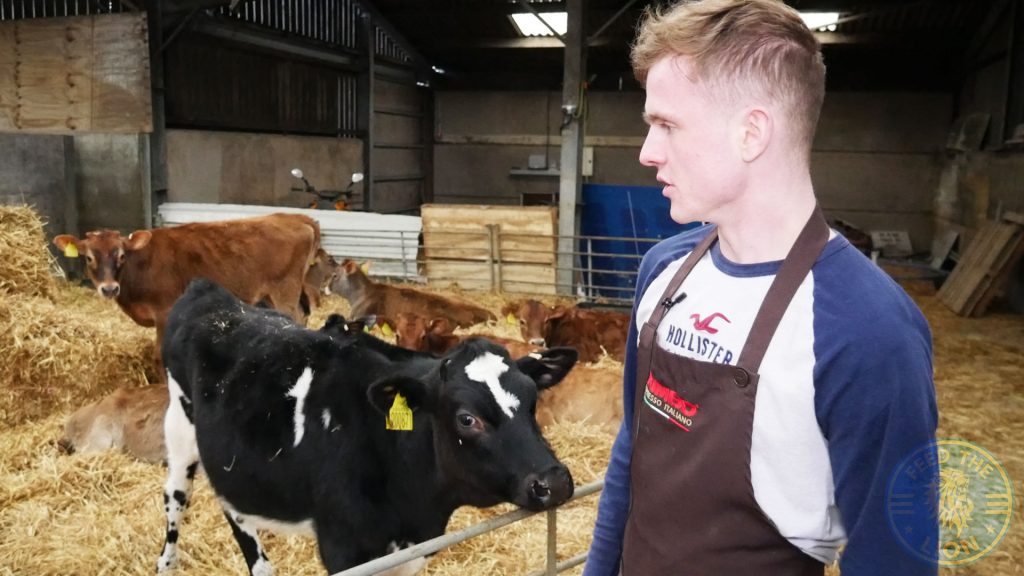 Tagg lane dairy Ice Cream Gelateria cafe Peak District Award Winning raw milk farm