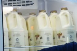 raw unpasteurised Jersey milk Tagg lane dairy Ice Cream Gelateria cafe Peak District Award Winning raw milk farm