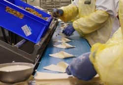 Takul Halal Kitchen Making Life Easier Tesco Supermarket