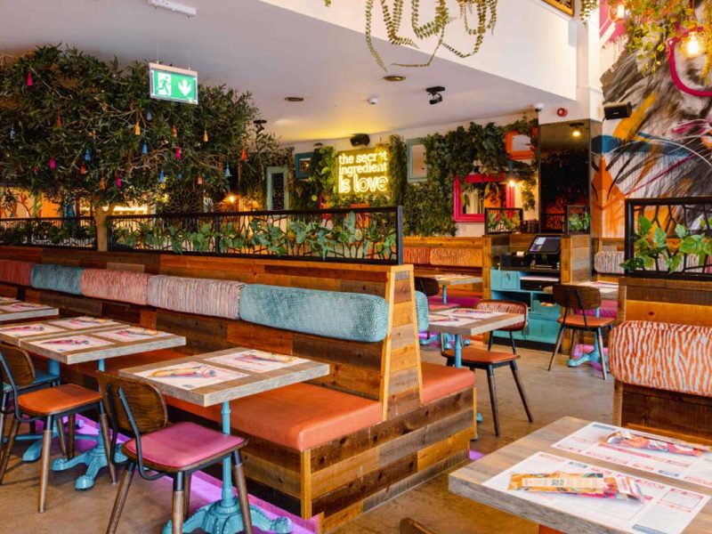 Tamatanga is making its big Leeds debut this Friday - Feed the Lion