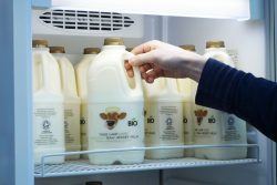 raw unpasteurised Jersey milk Tagg lane dairy Ice Cream Gelateria cafe Peak District Award Winning raw milk farm