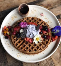 Shelter Cafe Seminyak Bali Indonesia Vegan Vegetarian