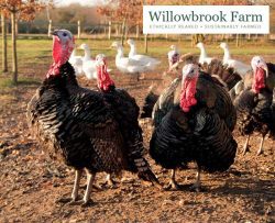 Willowbrook Farm Halal Free Range Organic Turkeys Christmas