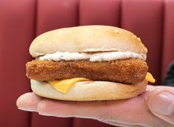 Zee Halal burger Wembley fast food fillet'o'fish big mac MacDonald's Alternative